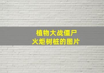 植物大战僵尸火炬树桩的图片