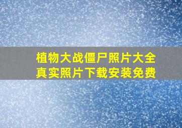 植物大战僵尸照片大全真实照片下载安装免费