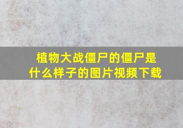 植物大战僵尸的僵尸是什么样子的图片视频下载