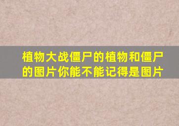 植物大战僵尸的植物和僵尸的图片你能不能记得是图片