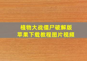 植物大战僵尸破解版苹果下载教程图片视频