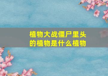 植物大战僵尸里头的植物是什么植物