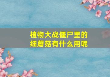 植物大战僵尸里的细蘑菇有什么用呢