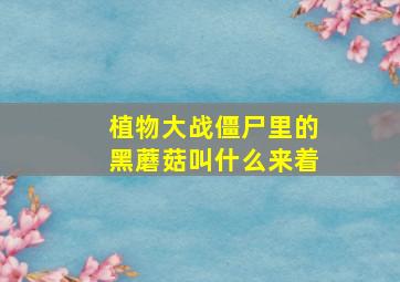 植物大战僵尸里的黑蘑菇叫什么来着