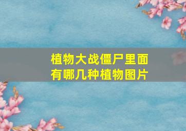 植物大战僵尸里面有哪几种植物图片