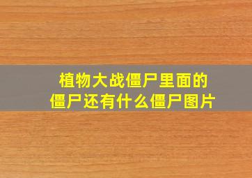 植物大战僵尸里面的僵尸还有什么僵尸图片