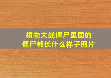 植物大战僵尸里面的僵尸都长什么样子图片