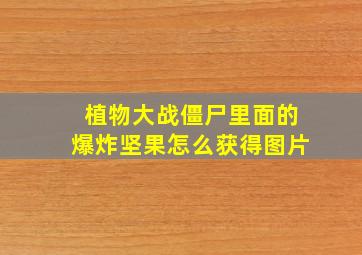 植物大战僵尸里面的爆炸坚果怎么获得图片