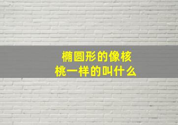 椭圆形的像核桃一样的叫什么