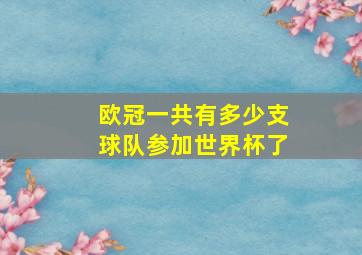 欧冠一共有多少支球队参加世界杯了