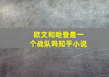 欧文和哈登是一个战队吗知乎小说