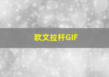 欧文拉杆GIF