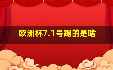 欧洲杯7.1号踢的是啥