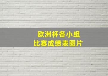 欧洲杯各小组比赛成绩表图片