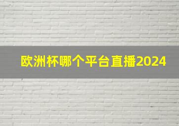 欧洲杯哪个平台直播2024