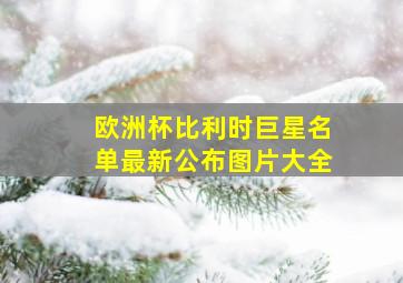 欧洲杯比利时巨星名单最新公布图片大全