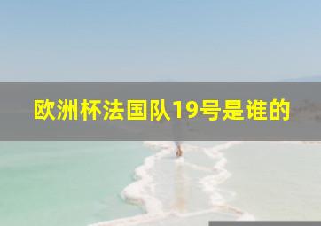 欧洲杯法国队19号是谁的