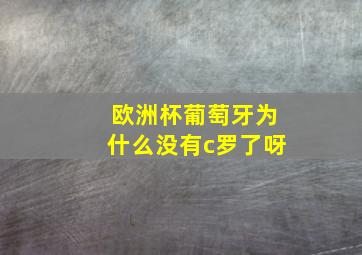 欧洲杯葡萄牙为什么没有c罗了呀