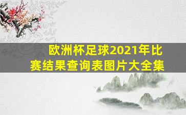 欧洲杯足球2021年比赛结果查询表图片大全集