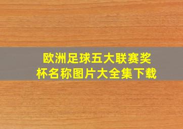 欧洲足球五大联赛奖杯名称图片大全集下载