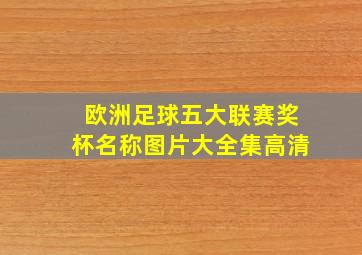 欧洲足球五大联赛奖杯名称图片大全集高清