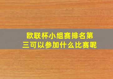 欧联杯小组赛排名第三可以参加什么比赛呢