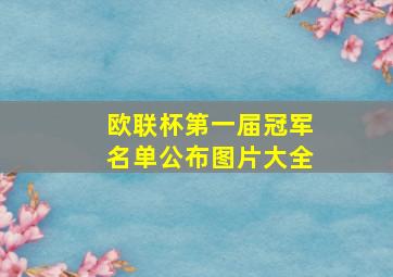 欧联杯第一届冠军名单公布图片大全