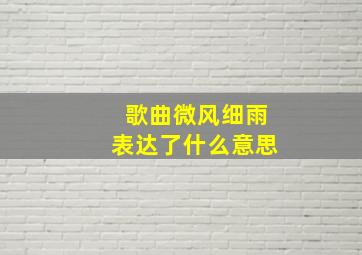 歌曲微风细雨表达了什么意思