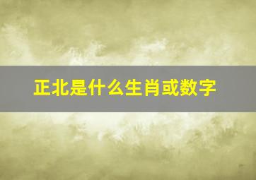 正北是什么生肖或数字