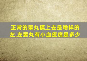 正常的睾丸摸上去是啥样的左,左睾丸有小血疙瘩是多少