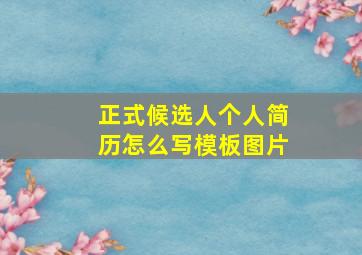 正式候选人个人简历怎么写模板图片