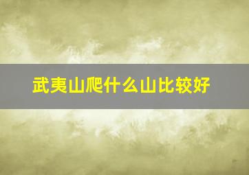 武夷山爬什么山比较好