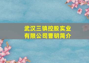 武汉三镇控股实业有限公司曹明简介