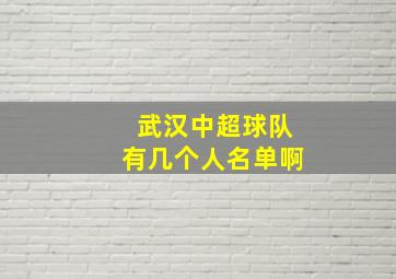 武汉中超球队有几个人名单啊