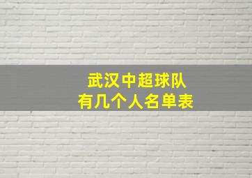 武汉中超球队有几个人名单表