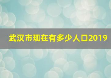 武汉市现在有多少人口2019