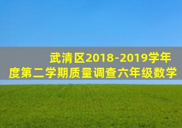 武清区2018-2019学年度第二学期质量调查六年级数学