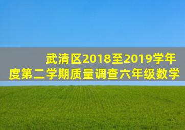 武清区2018至2019学年度第二学期质量调查六年级数学