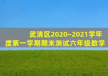 武清区2020~2021学年度第一学期期末测试六年级数学