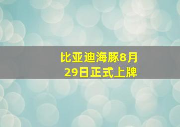 比亚迪海豚8月29日正式上牌