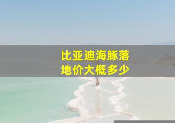 比亚迪海豚落地价大概多少