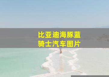 比亚迪海豚蓝骑士汽车图片