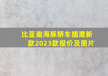 比亚迪海豚轿车插混新款2023款报价及图片