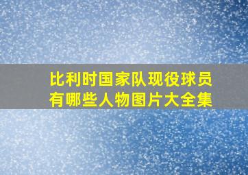 比利时国家队现役球员有哪些人物图片大全集