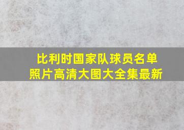 比利时国家队球员名单照片高清大图大全集最新