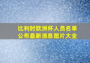 比利时欧洲杯人员名单公布最新消息图片大全