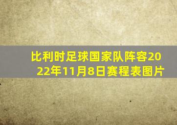 比利时足球国家队阵容2022年11月8日赛程表图片