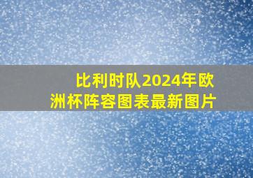 比利时队2024年欧洲杯阵容图表最新图片