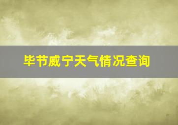 毕节威宁天气情况查询