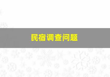 民宿调查问题